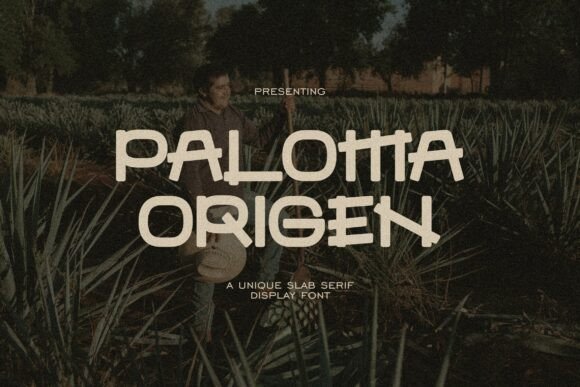 Paloma Font: The Bold Typeface for Rustic Branding
